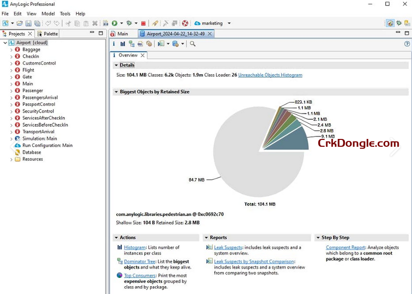 AnyLogic 8.9.4