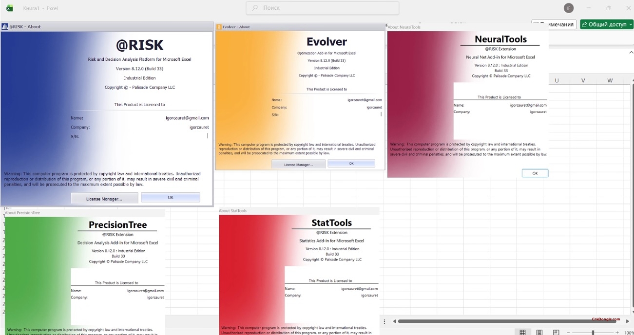 Palisade Risk Platform (DecisionTools Suite) 2025 v8.12 - Risk Analysis