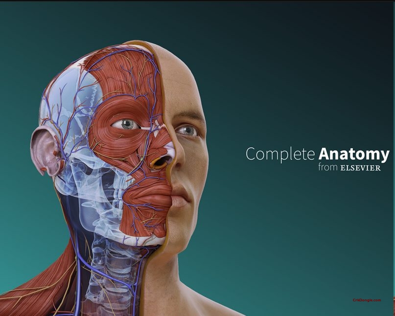 Complete Anatomy 2025 