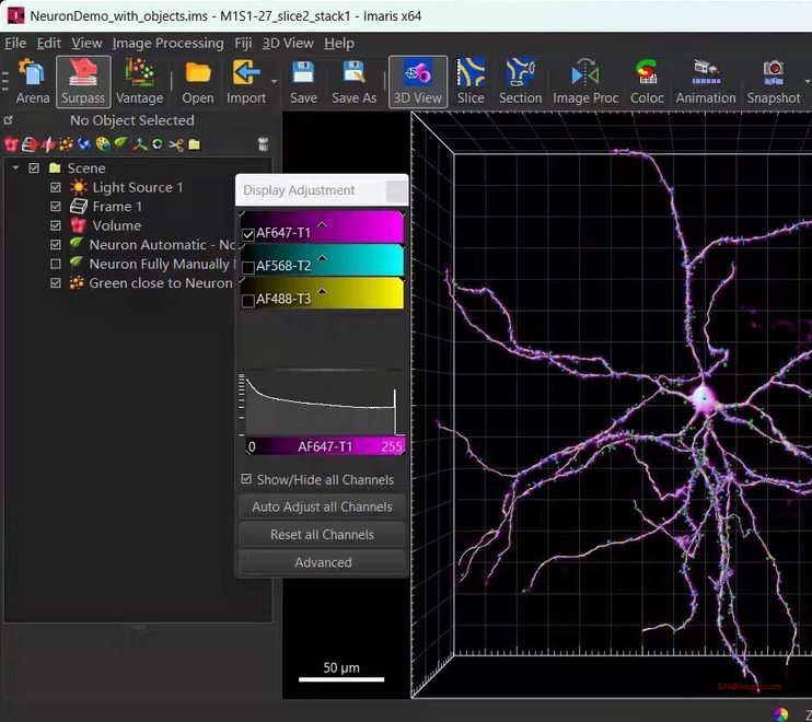 imaris10.2 download